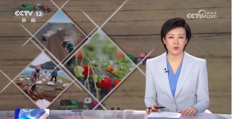 菌肥將是未來種地好肥料！